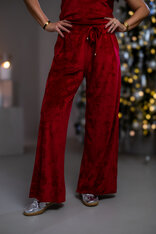 NOHAVICE “EVELYN”