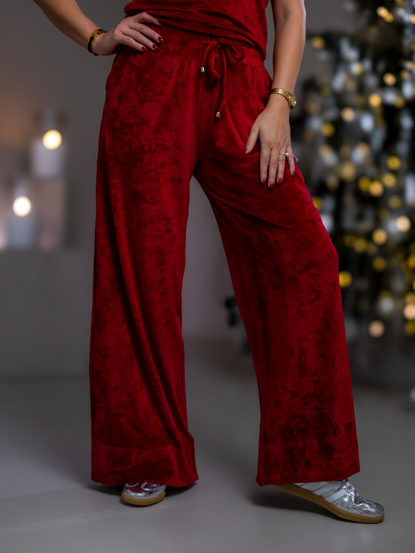 NOHAVICE “EVELYN”