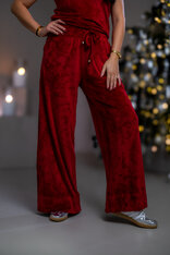 NOHAVICE “EVELYN”