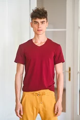 PÁNSKE TRIČKO S VÉČKOVÝM VÝSTRIHOM / KRÁTKE RUKÁVY / VŠETKY FARBY PÁNSKE TRIČKO S VÉČKOVÝM VÝSTRIHOM / KRÁTKE RUKÁVY / VŠETKY FARBY
