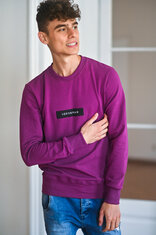 ZÁKLADNÁ PÁNSKA MIKINA S ETIKETOU / VŠETKY FARBY