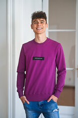 ZÁKLADNÁ PÁNSKA MIKINA S ETIKETOU / VŠETKY FARBY